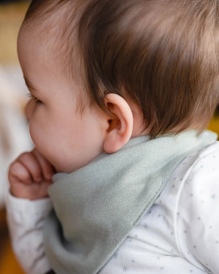 Little Linen Jersey Bibs 2 Pack - Farmyard Lamb
