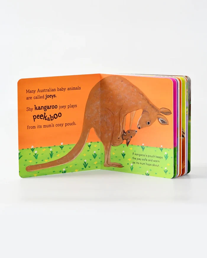 Australian Baby Animals Board Book by Frane Lessac