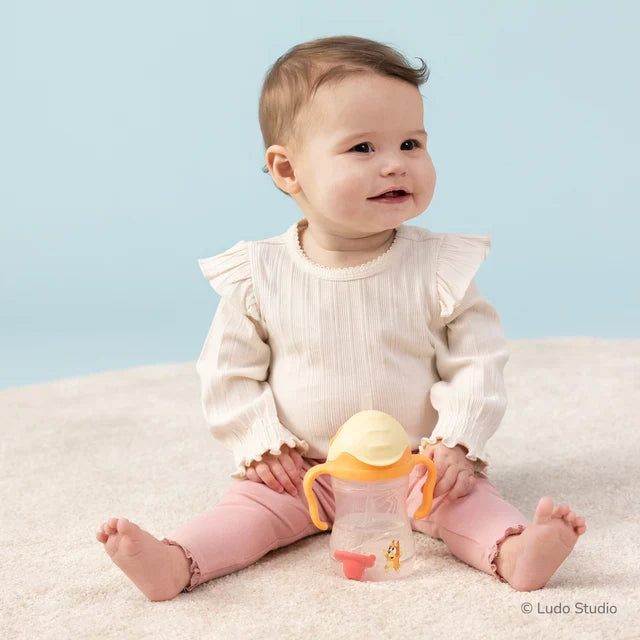 bbox Bluey Weighted Straw Sippy Cup 240ml - Bingo