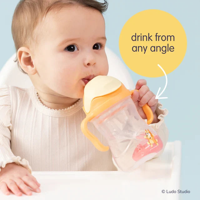 bbox Bluey Weighted Straw Sippy Cup 240ml - Bingo
