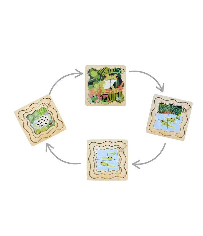 Bush Buddies Life Cycle 4 Layer Puzzle -  Green Tree Frog