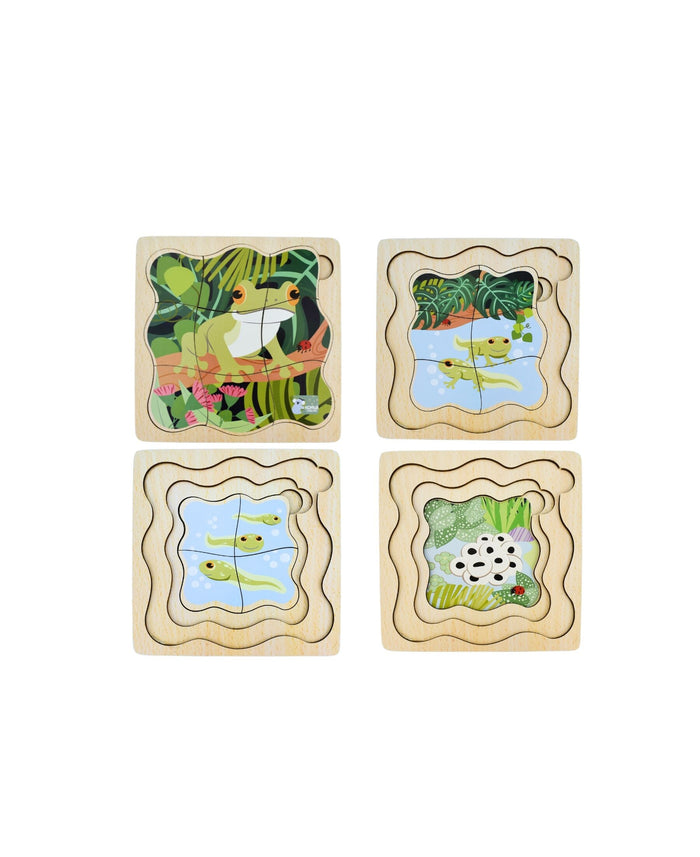 Bush Buddies Life Cycle 4 Layer Puzzle -  Green Tree Frog