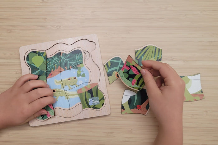 Bush Buddies Life Cycle 4 Layer Puzzle -  Green Tree Frog