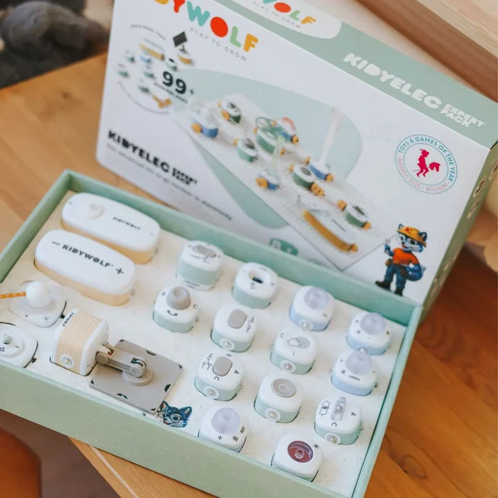 KIDYELEC Build-Your-Own Electrical Circuit - Expert
