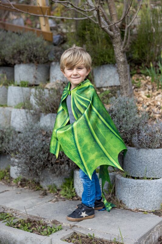 Legendary Dragon Soft Wings & Mask | Size 4-6