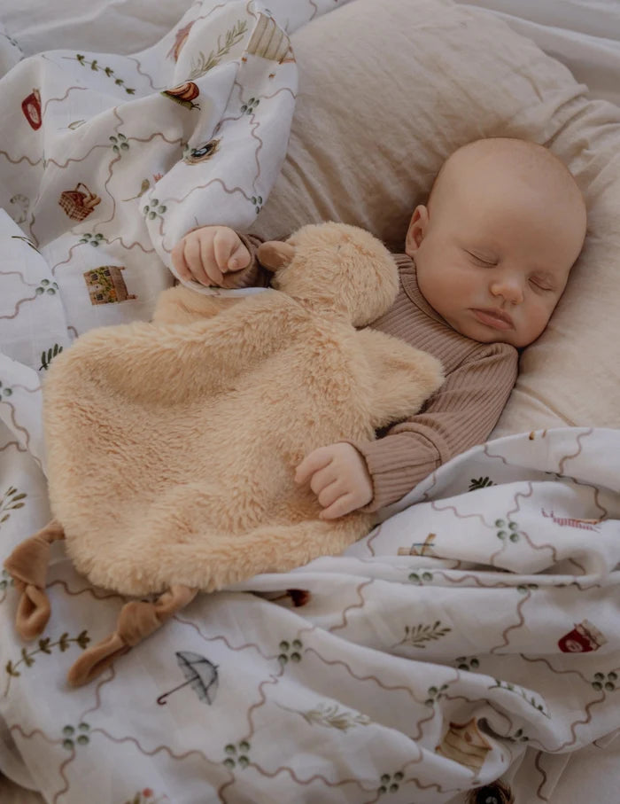Pop Ya Tot Organic Muslin Swaddle - Cottage Picnic