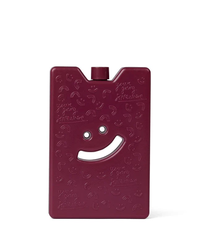The Somewhere Co Reusable Ice Brick