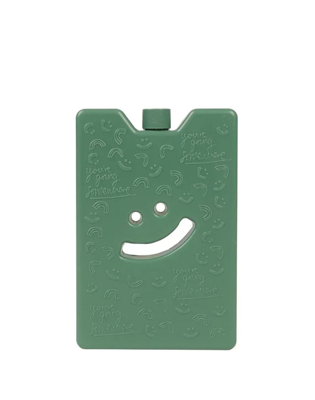 The Somewhere Co Reusable Ice Brick