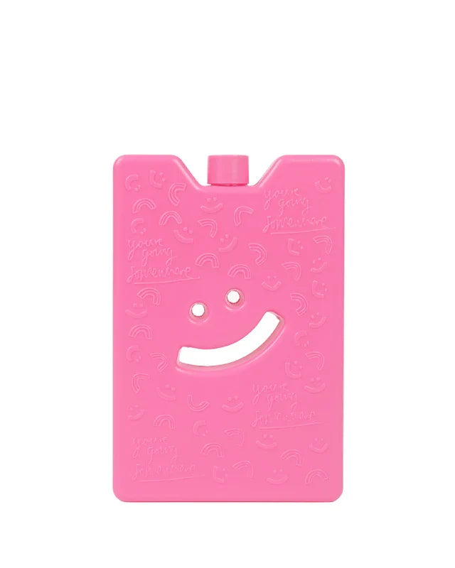The Somewhere Co Reusable Ice Brick